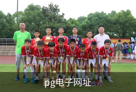 pg电子网址简介