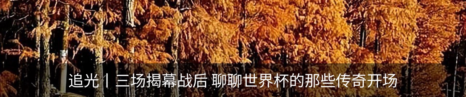 行业资讯